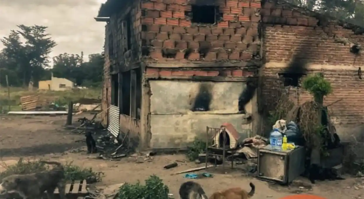 Mar del Plata: se incendió un refugio y murieron ocho perros