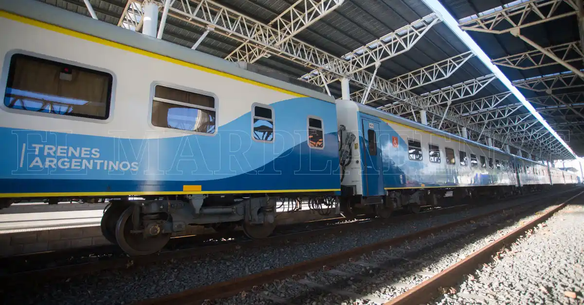 Tren: aseguran que ya se vendieron la mitad de los pasajes por internet