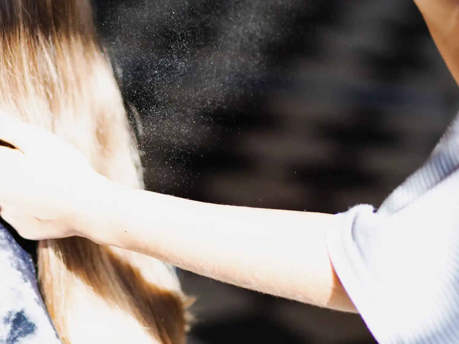 Shampoo en seco: pelo impecable en segundos