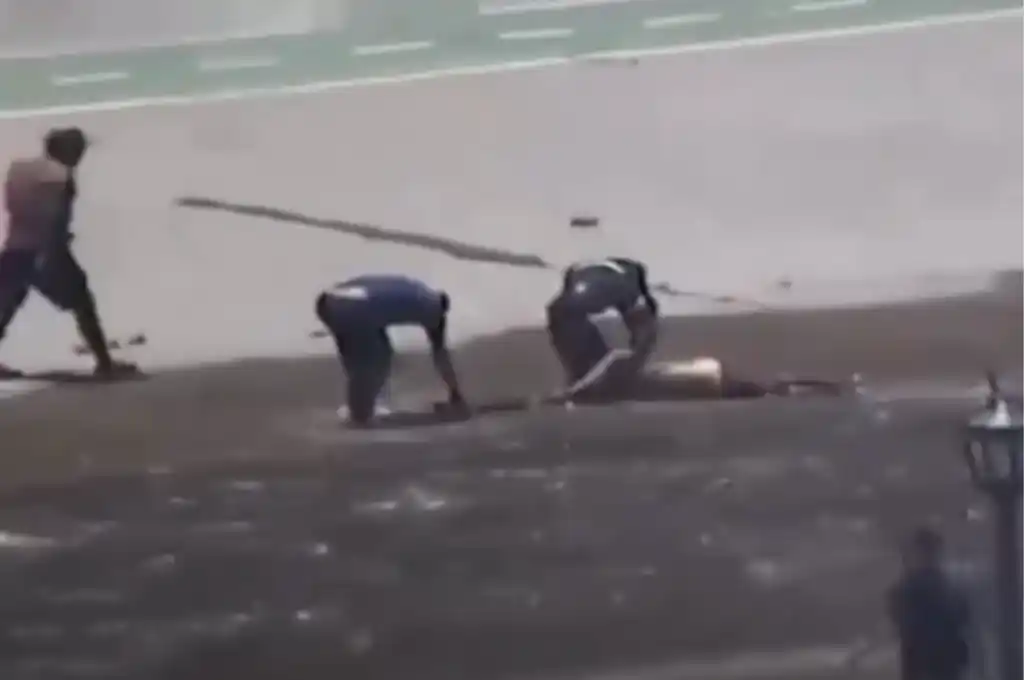 Captura de pantalla tomada del video