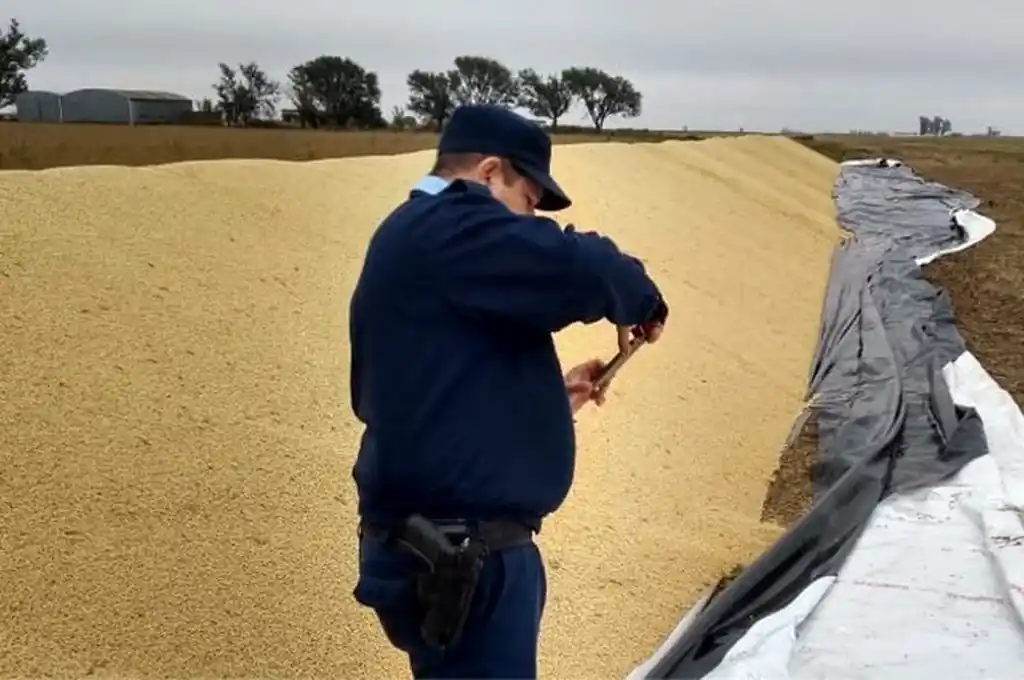 Barrancas: rompieron un silo bolsa y robaron 750 kilos de soja