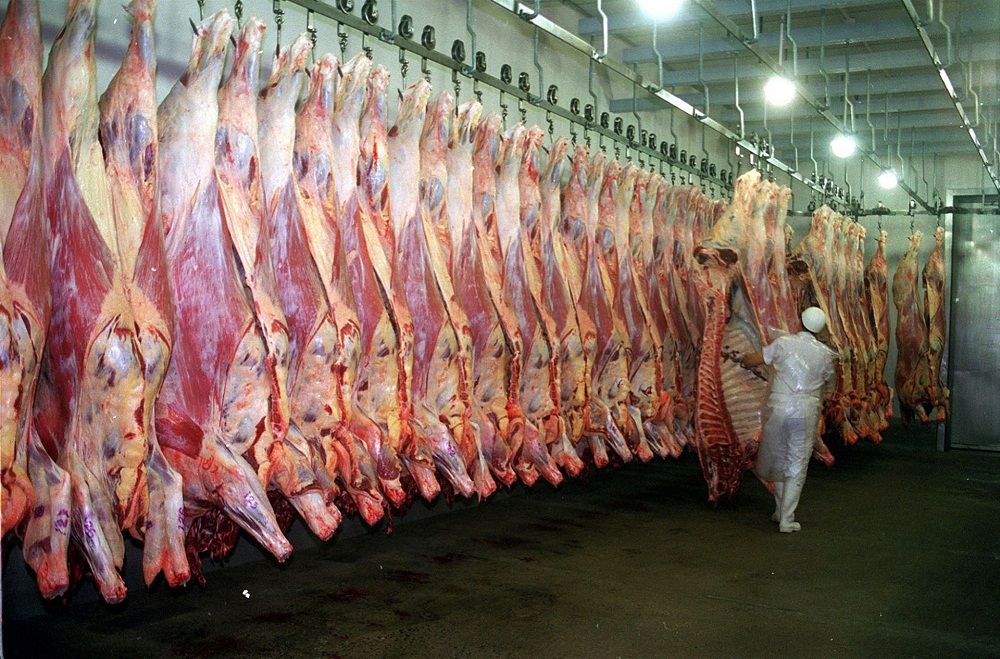 Subieron las exportaciones de carne