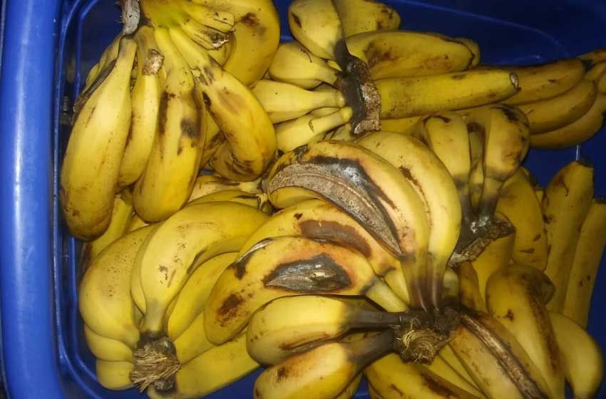 Servicio alimentario: Vidal dijo que habrá multas "si hay problemas"