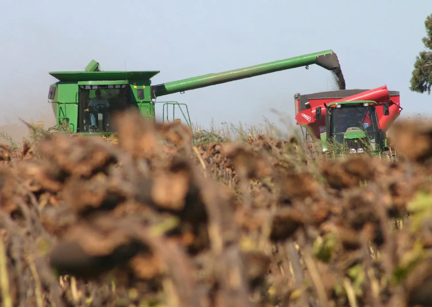 Radiografía del mundo de los agro contratistas en Argentina