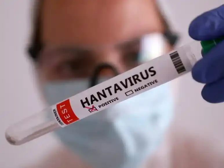 hantavirus