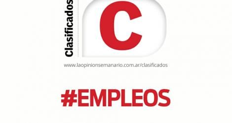 Julio busca trabajo
