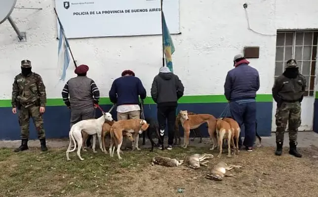 De Capitán Sarmiento a Azul: Infraccionan a cinco cazadores furtivos
