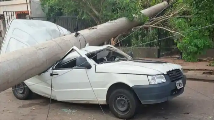 Columna aplastó vehículo en el que iba una pareja y se salvaron: “es un milagro"