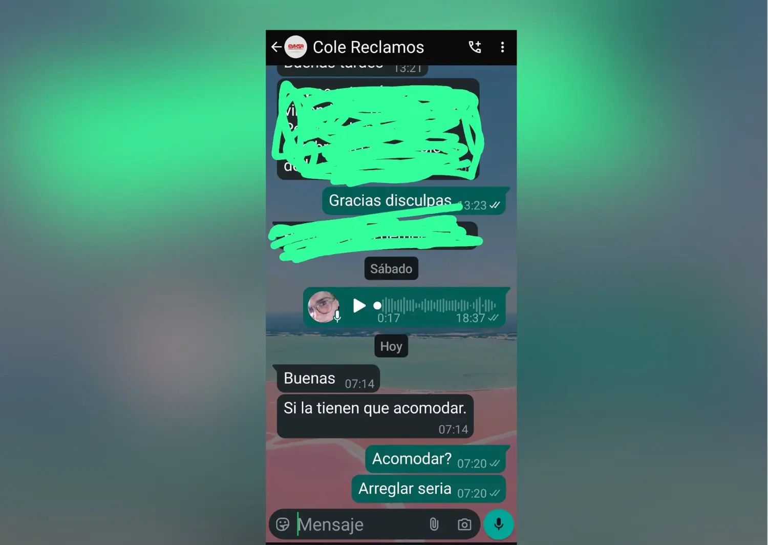 Colectivos Evhsa: "Quise viajar con mi hija en sillas de ruedas y la rampa no andaba"