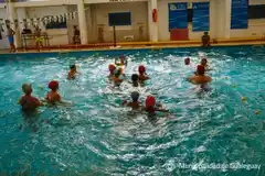 Hoy culminó la Colonia Municipal