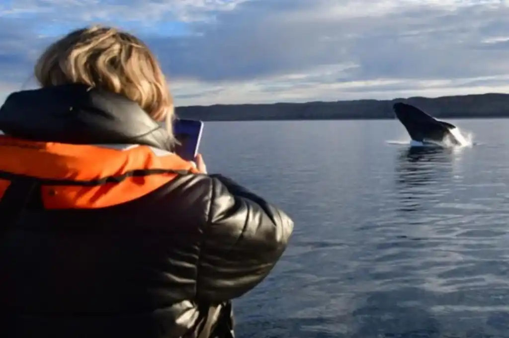 PreViaje 3: cómo funciona y qué se sabe