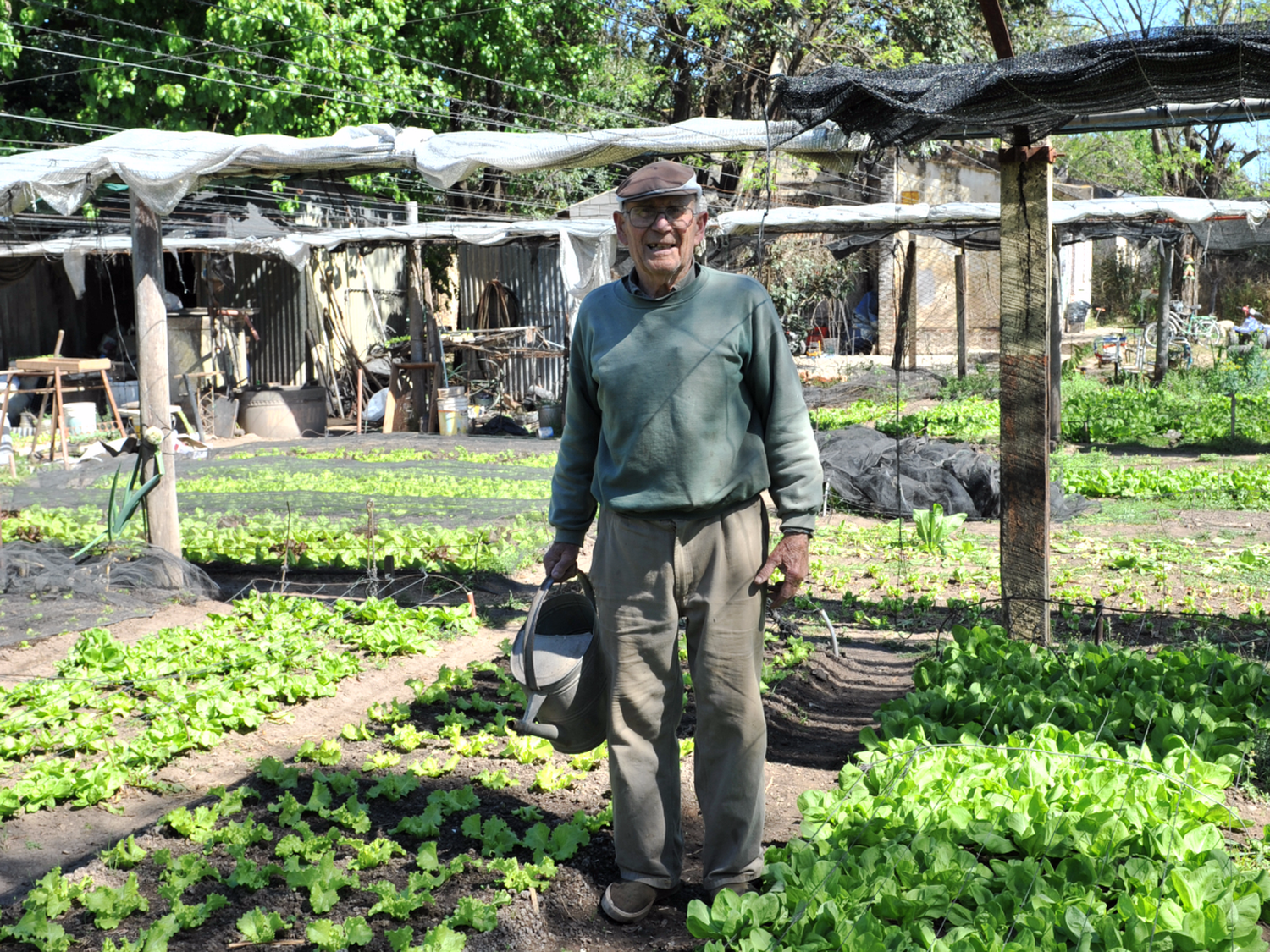 Cada vez son más los que apuestan a tener su propia huerta agro ecológica