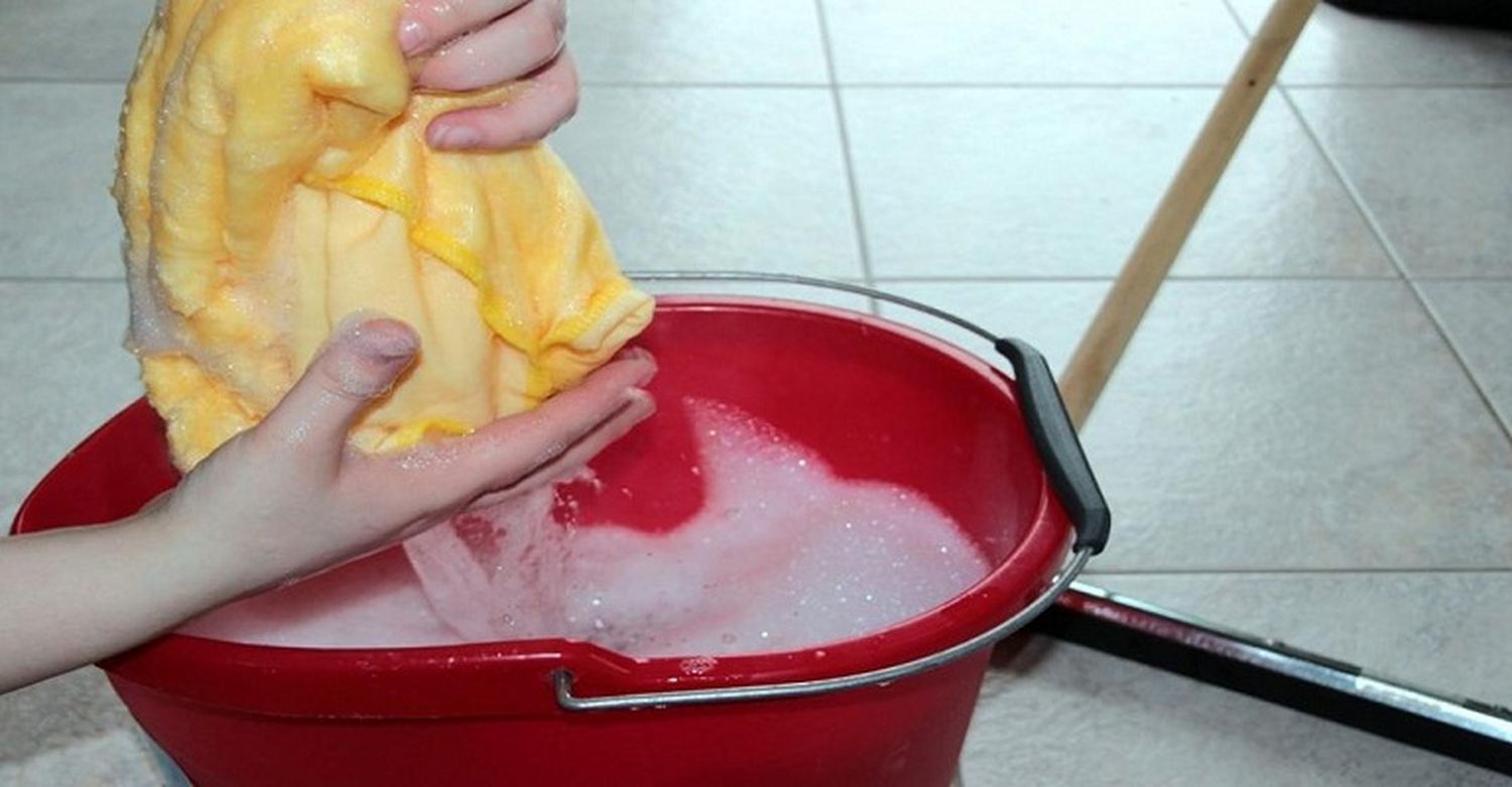 ¿Cómo prevenir y evitar el contacto con roedores transmisores de Hantavirus?