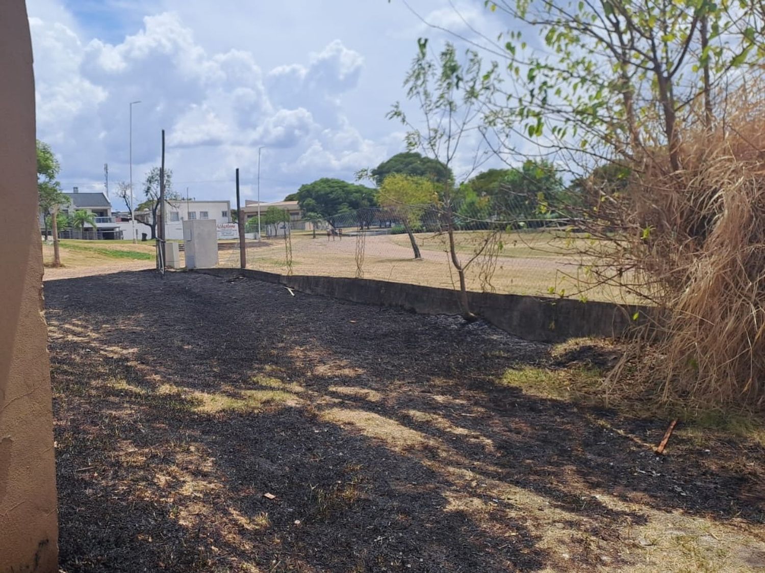 Federación: Foco ígneo en zona de playa grande fue controlado por empleados