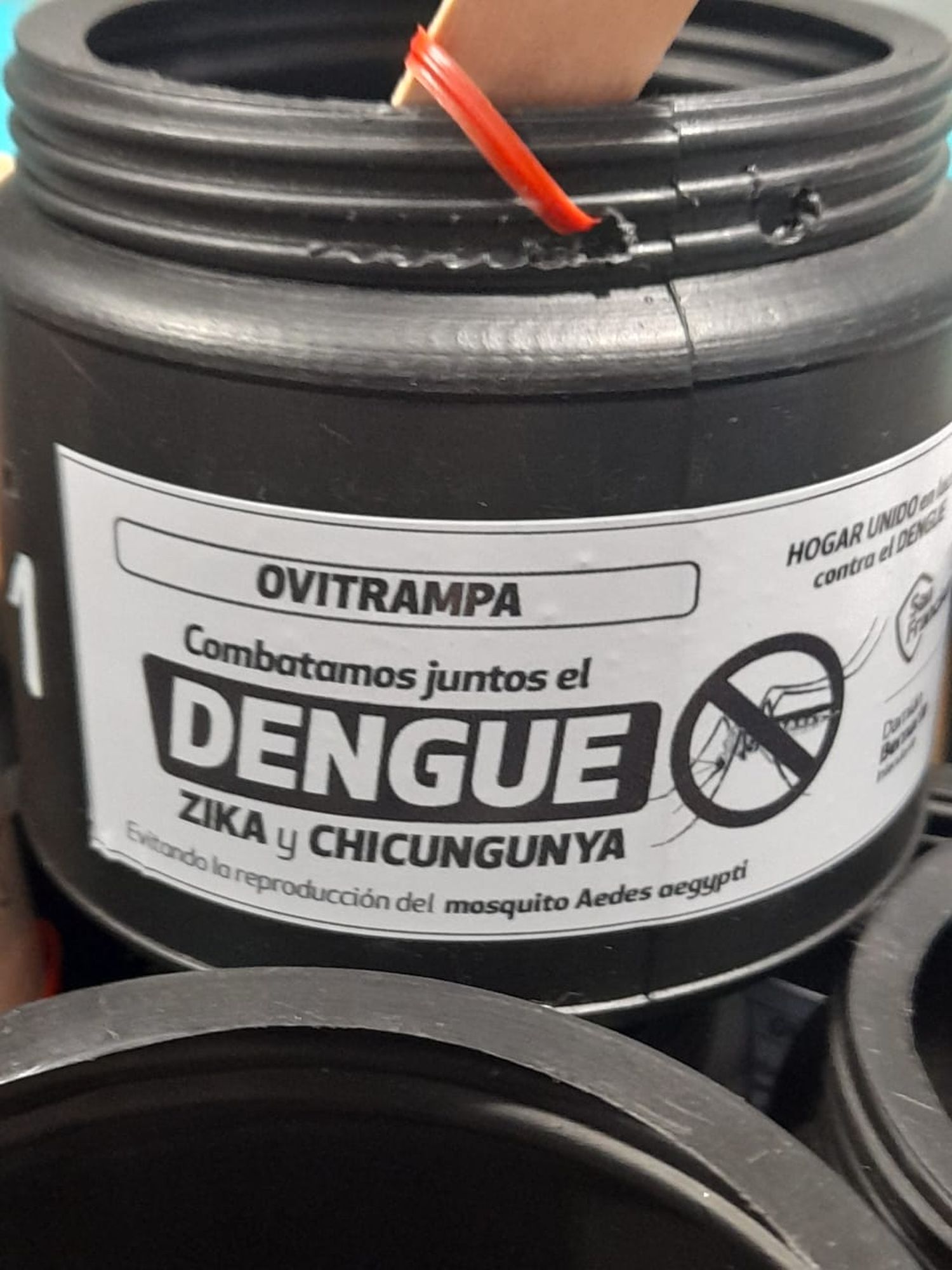 dengue