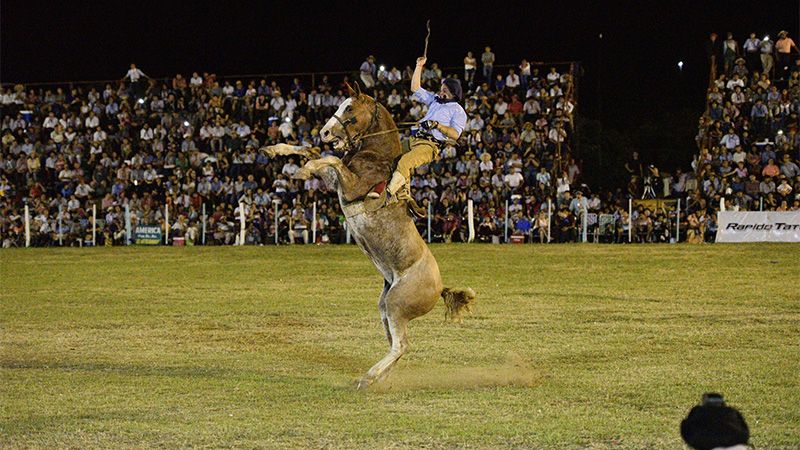 Festival de Diamante: habrá 70 montas por noche
