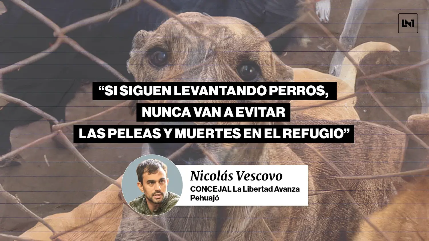 En Pehuajó, un concejal de LLA llevó al Concejo las denuncias por presunto maltrato animal y desafía al intendente Zurro