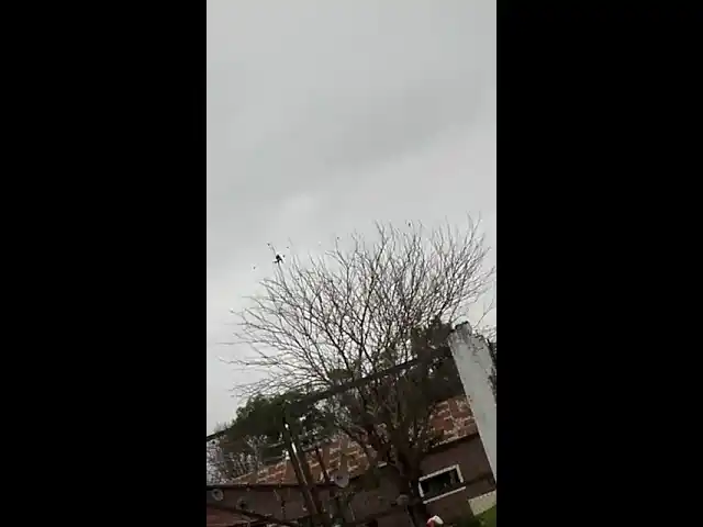 La Plata: un preso amenaza con tirarse desde una atena