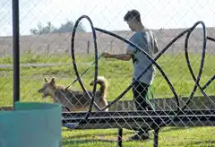 Zoonosis: sin veterinarios no hay salud pública