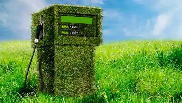 El gobierno nacional autorizó un aumento de biocombustibles