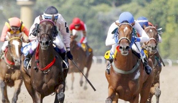 Martes 8: Actividad Hipódromo de La Plata