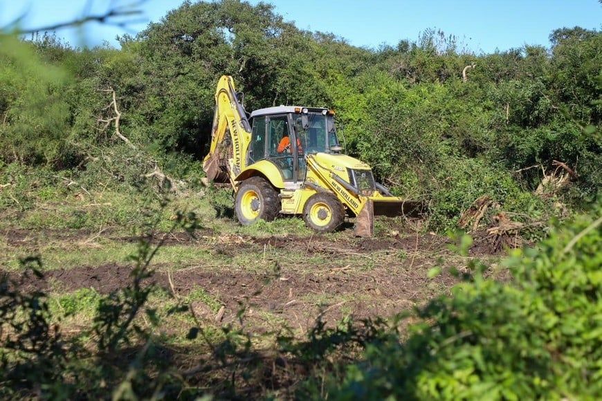 excavaciones - 2