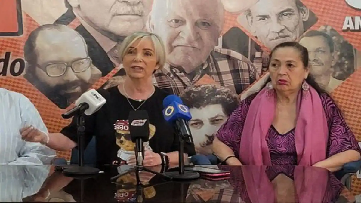 EL MAS APELARÁ MEDIDA del CNE en su contra: «tenemos  intacta nuestra vocación democrática»