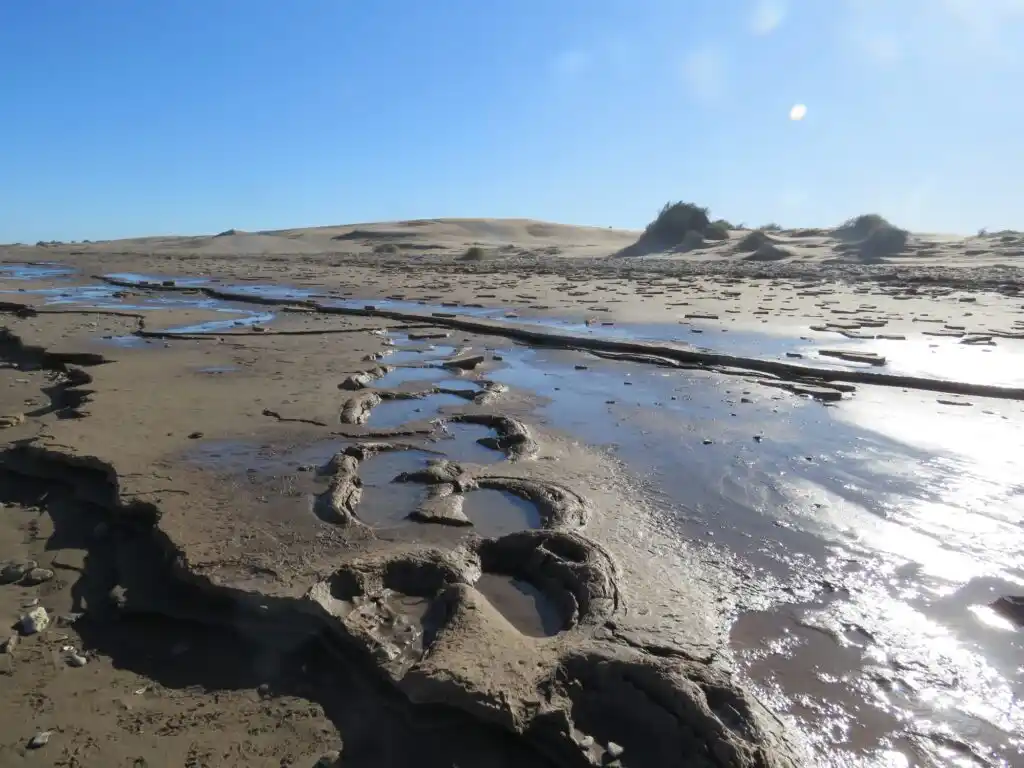 Las milenarias huellas de Pehuen Co y un mensaje hacia el futuro