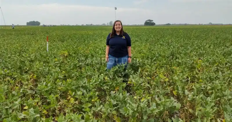 La evolución en la siembra de soja con nuevos herbicidas