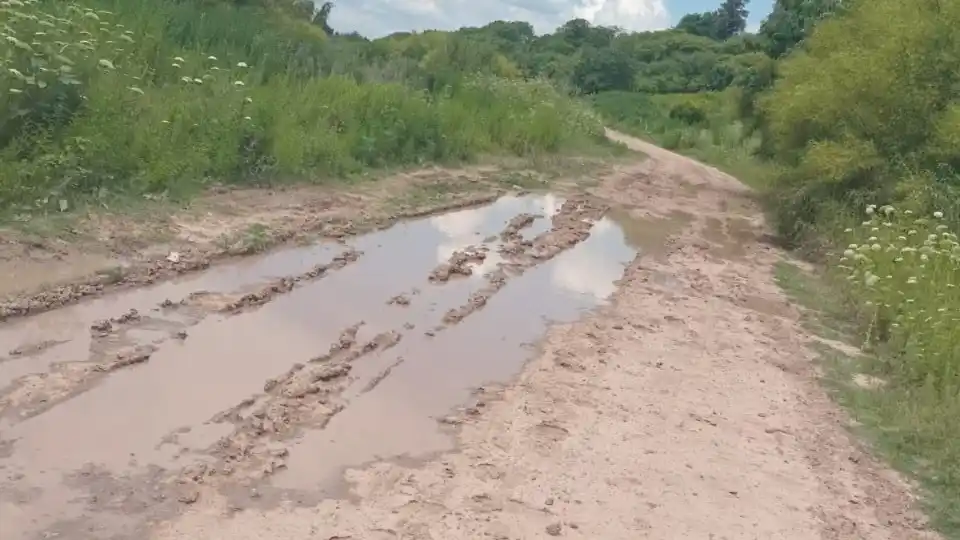 Así se encuentra la bajada de Mataderos y Cantando en el Río
