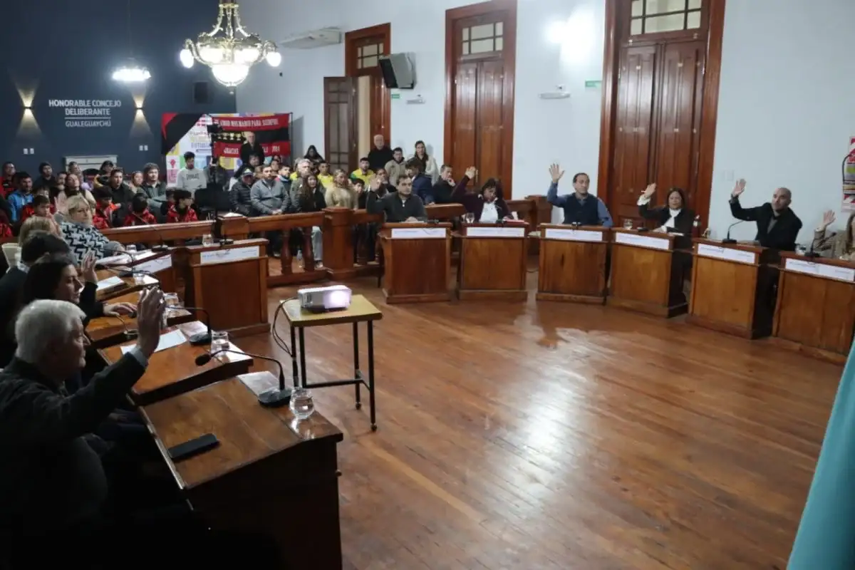 concejo deliberante