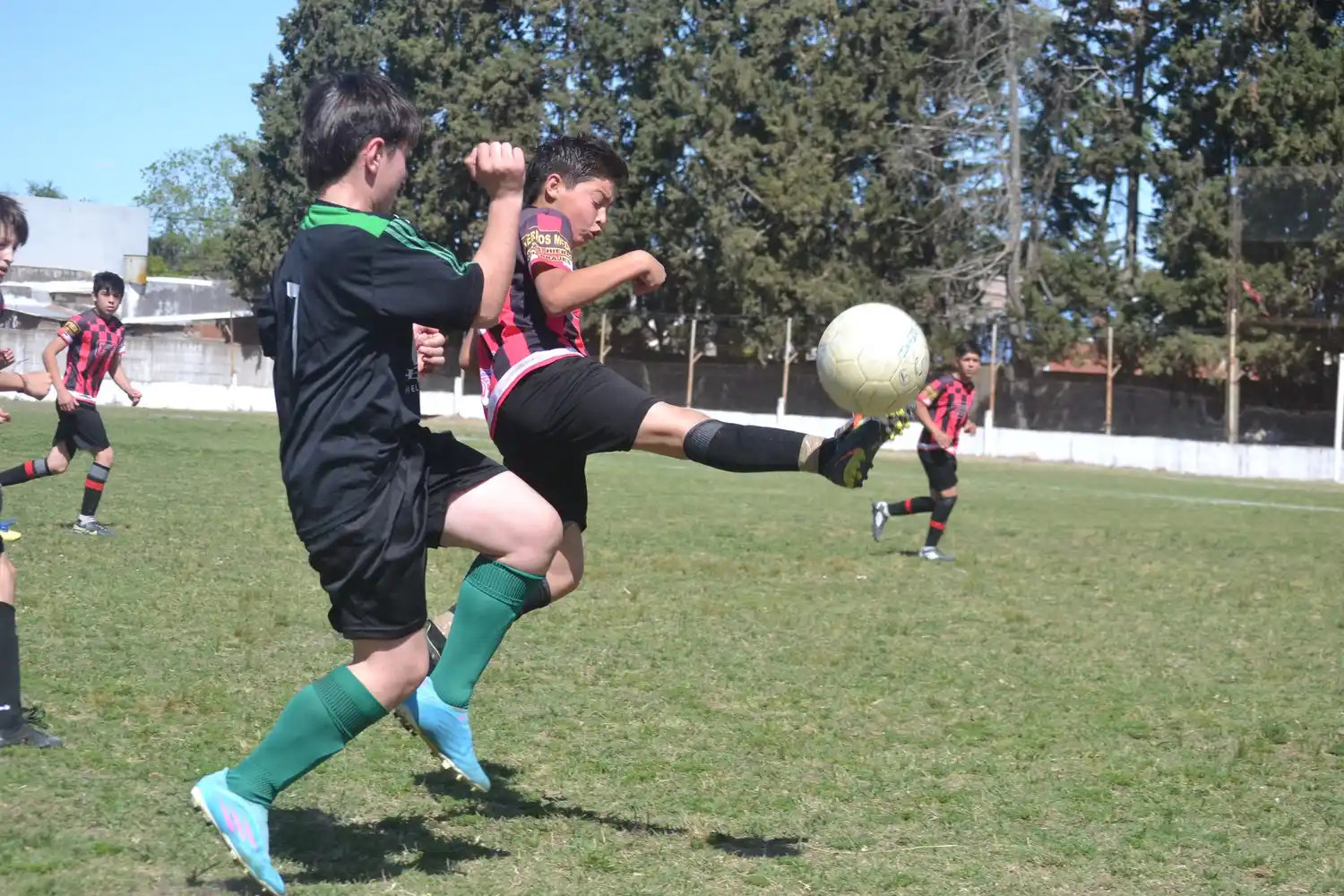 Divisiones Inferiores: resultados y programación