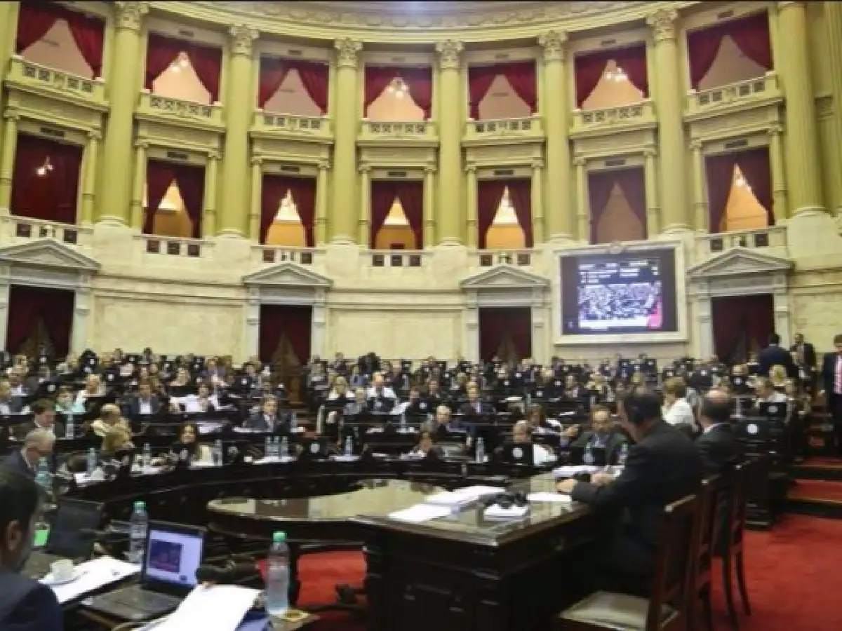 El DNU para agilizar al Estado será analizado en el Congreso el martes próximo