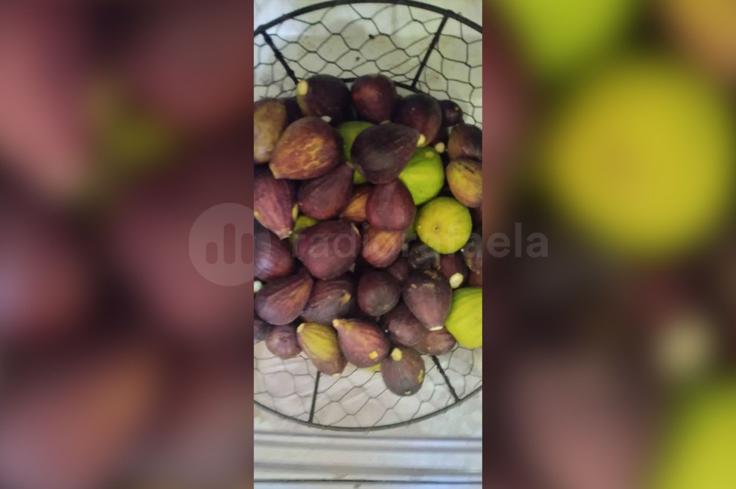 Atraparon a dos hombres que entraron a robar frutas de un taller y centro de día de Esperanza