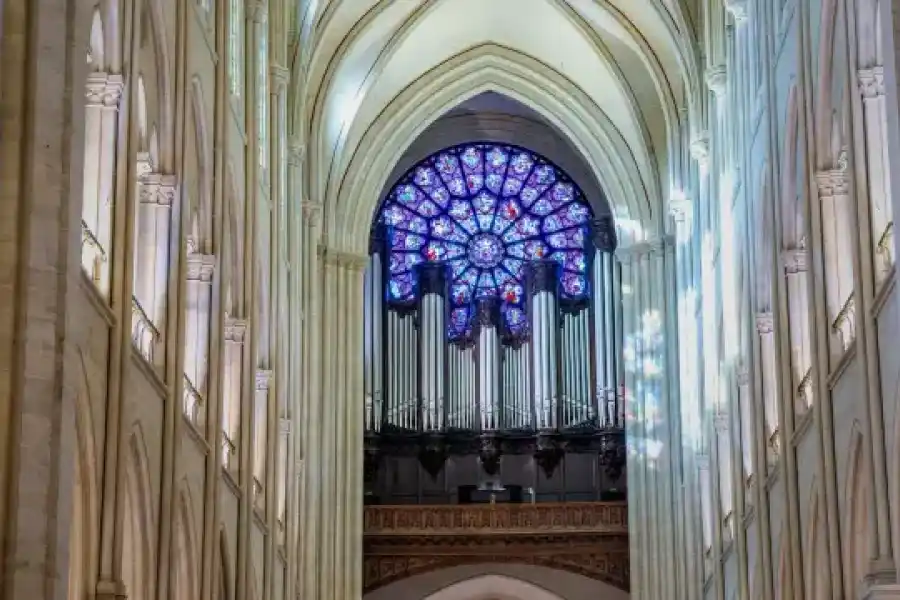 El órgano de la Catedral - Sitio Notre Dame