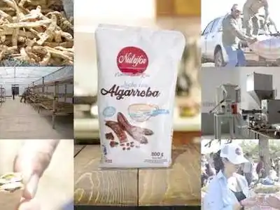 Harina de algarroba: el fruto que en 
Formosa alimenta, preserva y genera futuro