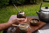 Siria se lleva el 77% del total de yerba que exporta la Argentina