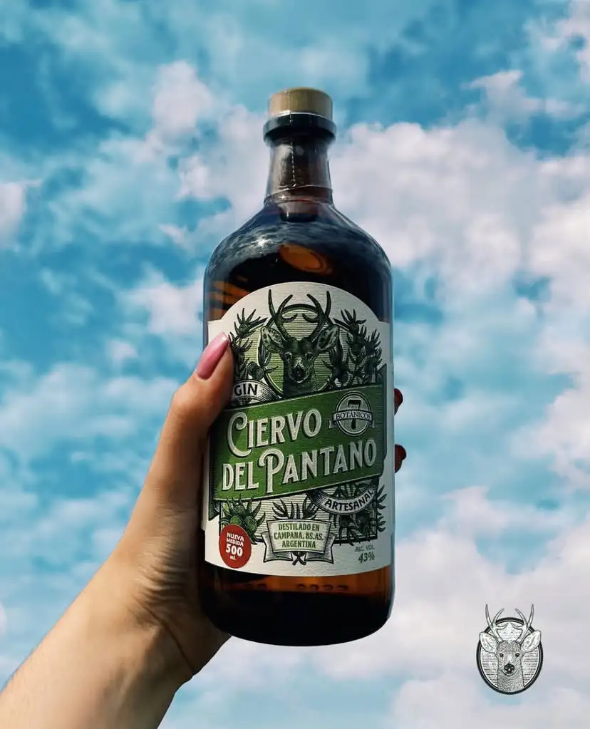 CIERVOGIN