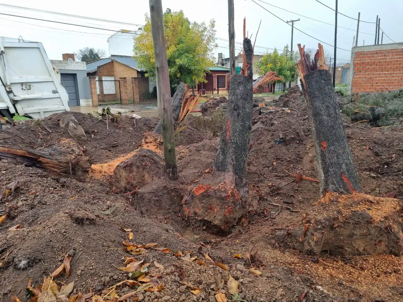 No hay número de autorización ni expediente de obra en la esquina de Obligado y Thorne. Deben determinar si están fuera de la línea municipal.