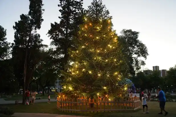 El árbol de la Plaza Cívica vuelve a convertirse en el centro de la escena navideña.