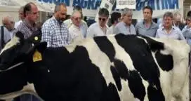 Confirmado: Tamberos regalarán leche en Plaza de Mayo