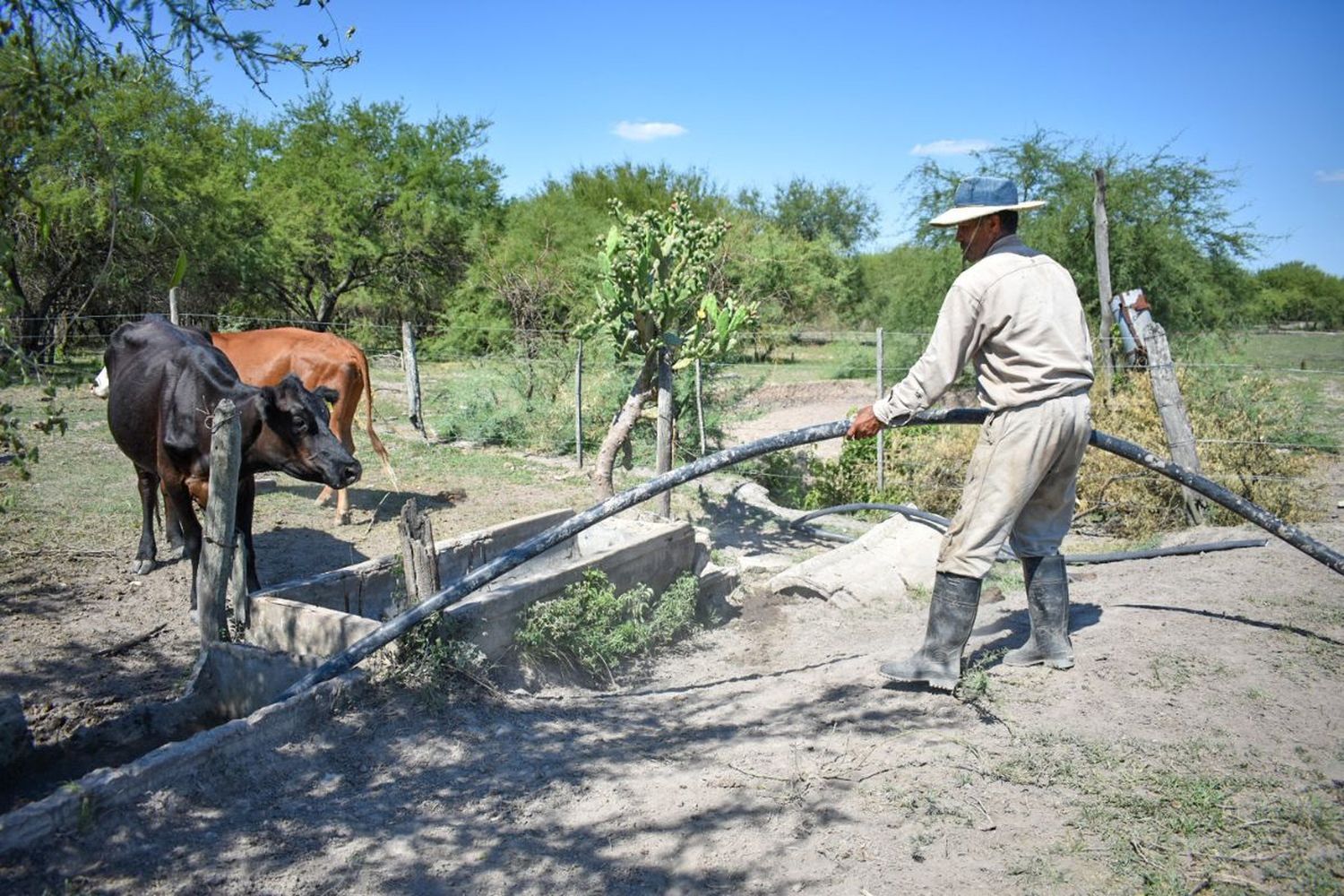 Los fondos se destinarán a la adquisición de elementos vinculados a la alimentación, producción forrajera, infraestructura intrapredial, insumos veterinarios, etc.