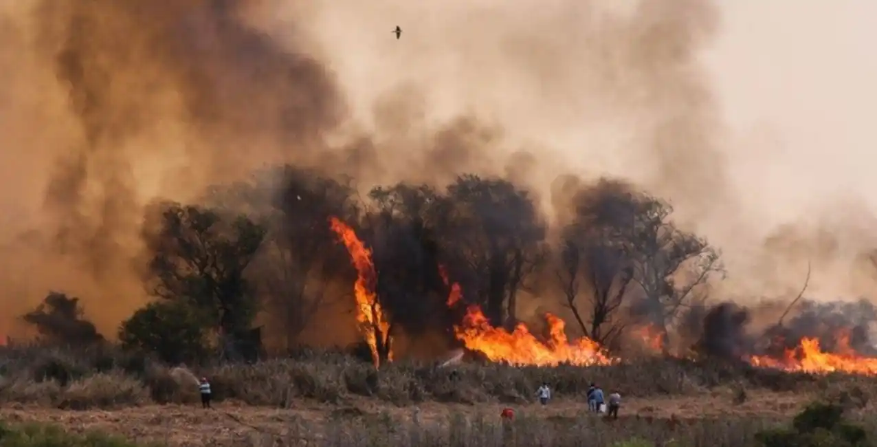Importantes incendios en las islas frente a Rosario: preocupa la rotación del viento