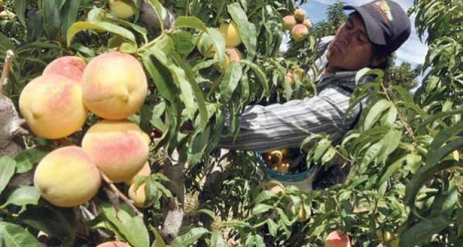 San Pedro, entre las pruebas piloto para el Censo Rural 2018