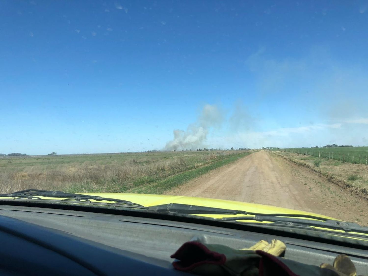 Incendio hinojo2