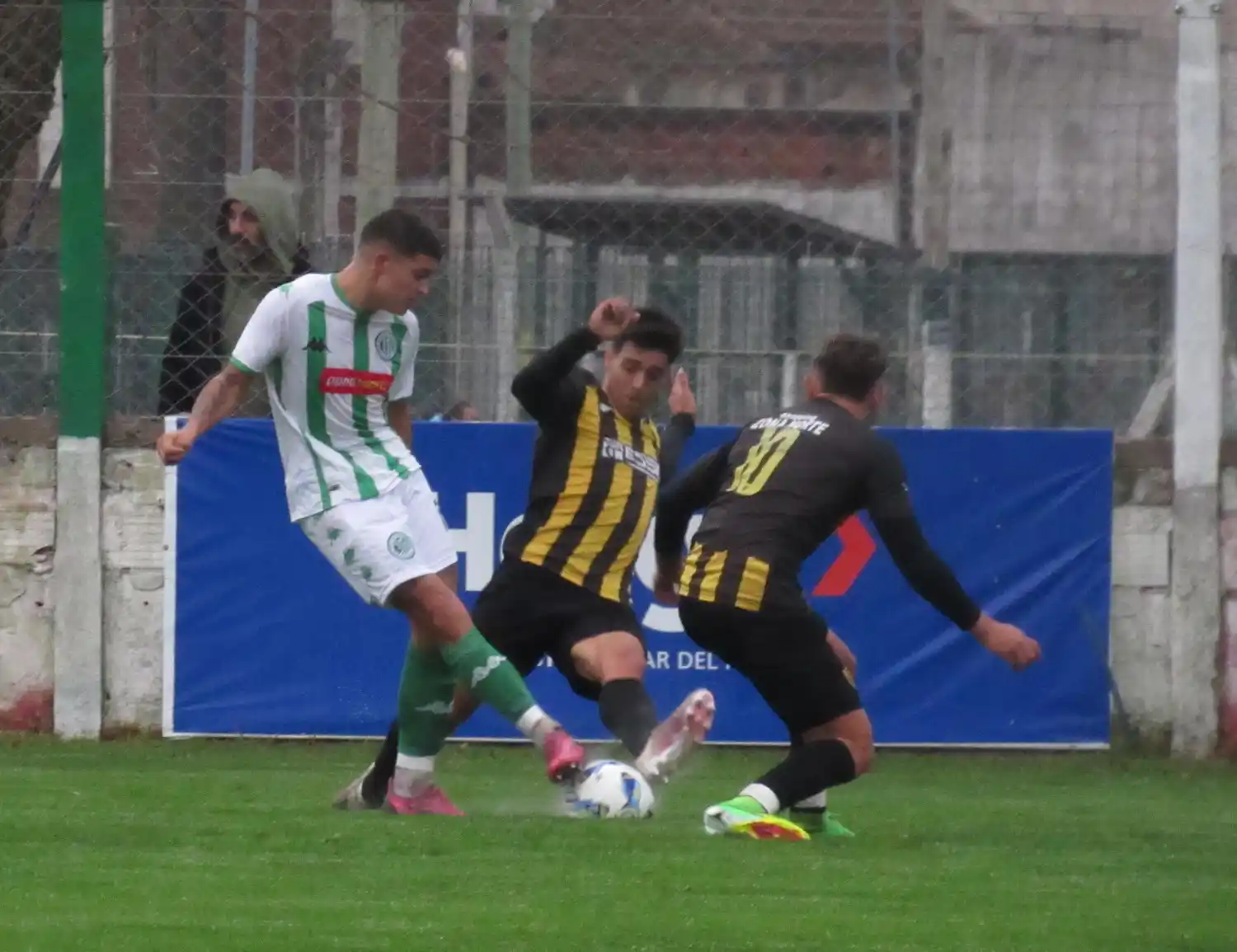 (Foto: Federico Espinosa)