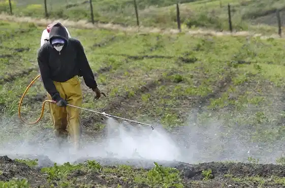 El glifosato en agenda: citan al INTA, Senasa y a la mamá de Anto González