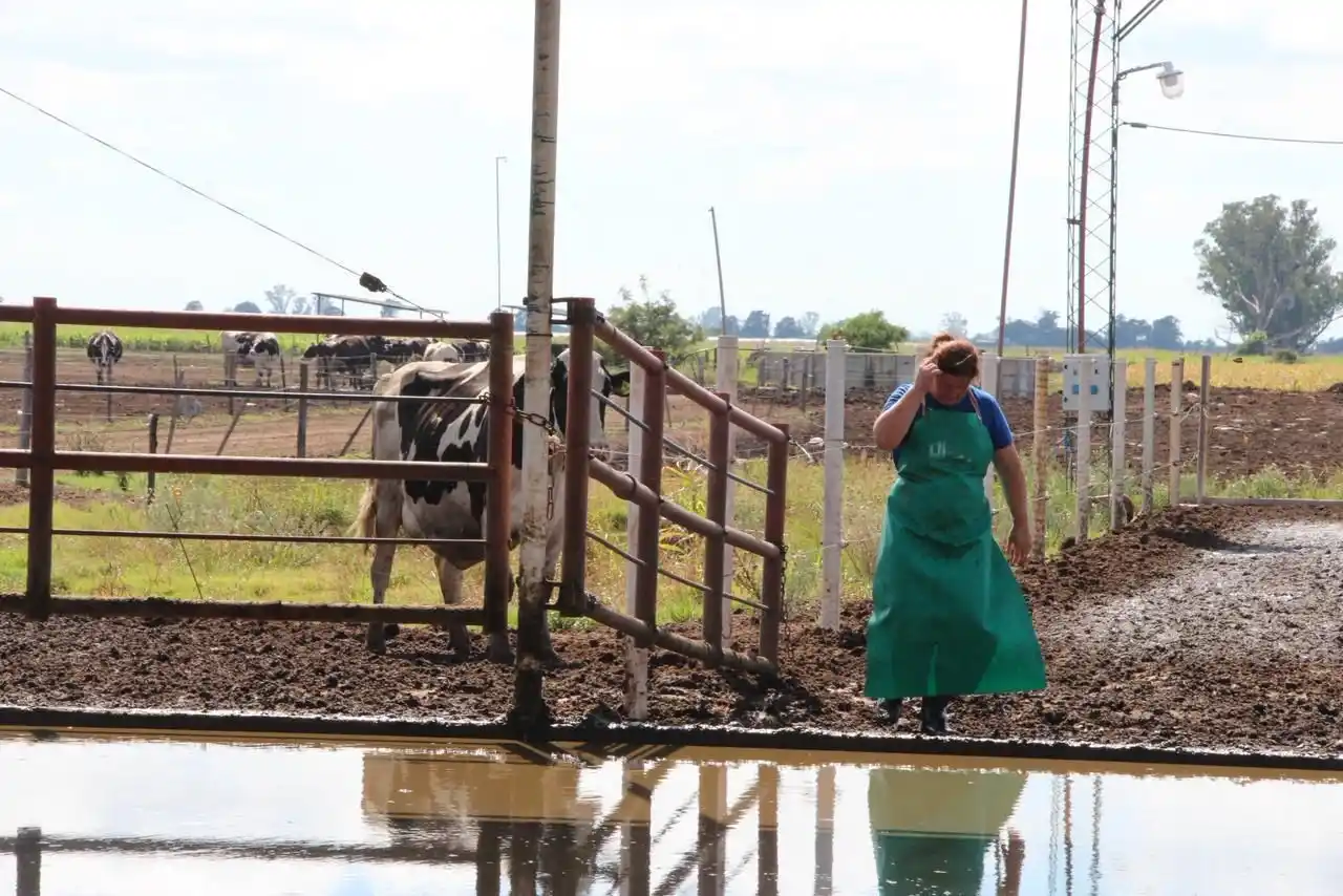 Santa Fe lidera las exportaciones lácteas y consolida el crecimiento del sector - 3