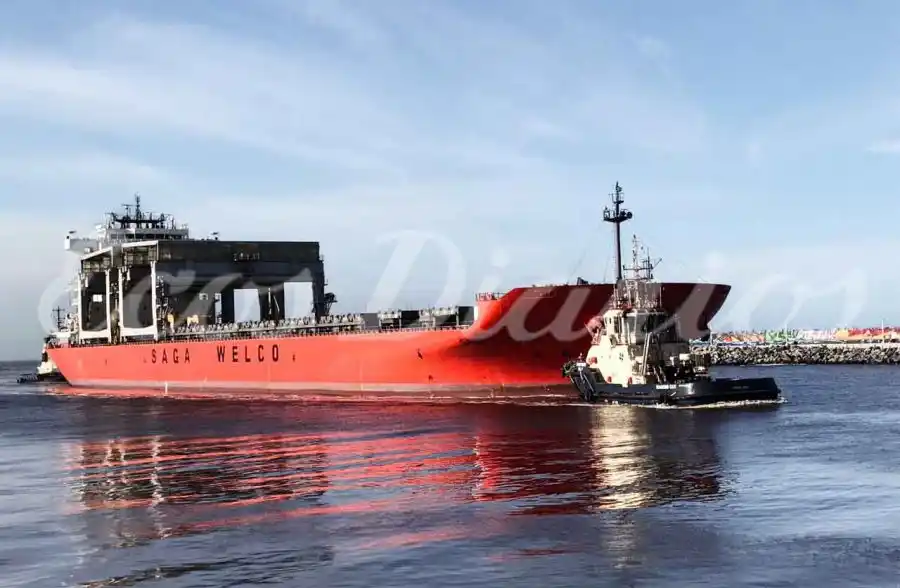 VIDEO: Arribó al Puerto un particular buque de 200 metros con bandera de Hong Kong
