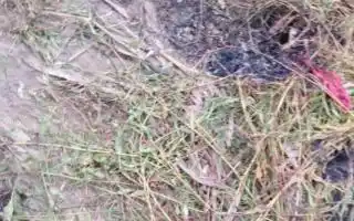 Zárate: Determinaron que el joven muerto fue quemado vivo